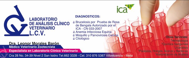 Identidad institucional del Laboratorio de Análisis Clínico Veterinario